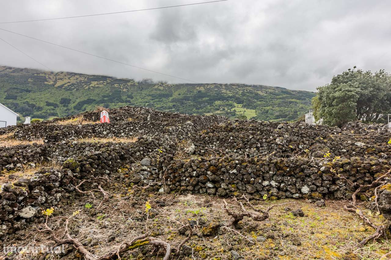 Terreno Rústico - Ilha do Pico - Grande imagem: 3/7