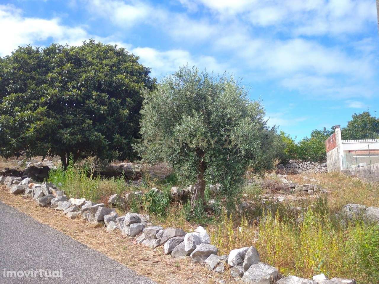 Terreno Urbanizável em Mira de Aire - Localização Privilegiada e Tranq - Grande imagem: 5/5