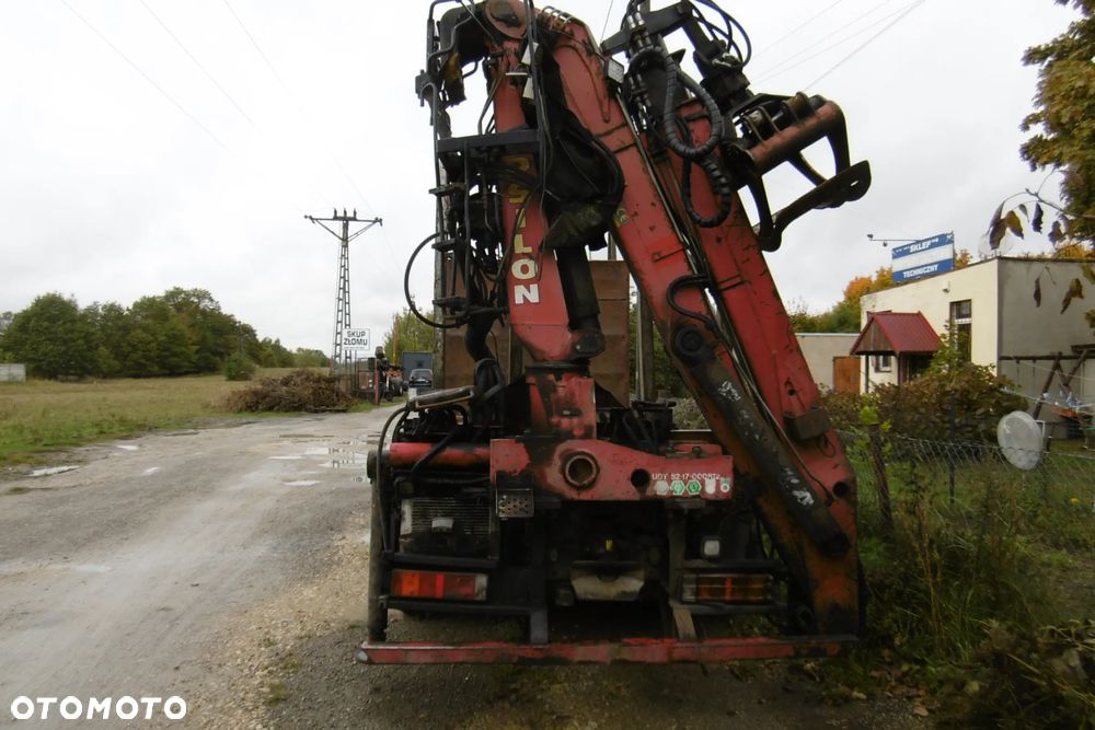HDS Epsilon do drewna żuraw leśny loglift - 1