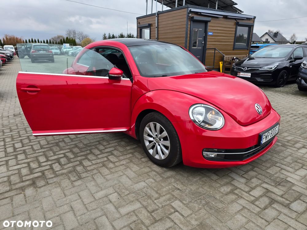 Volkswagen Beetle - 19