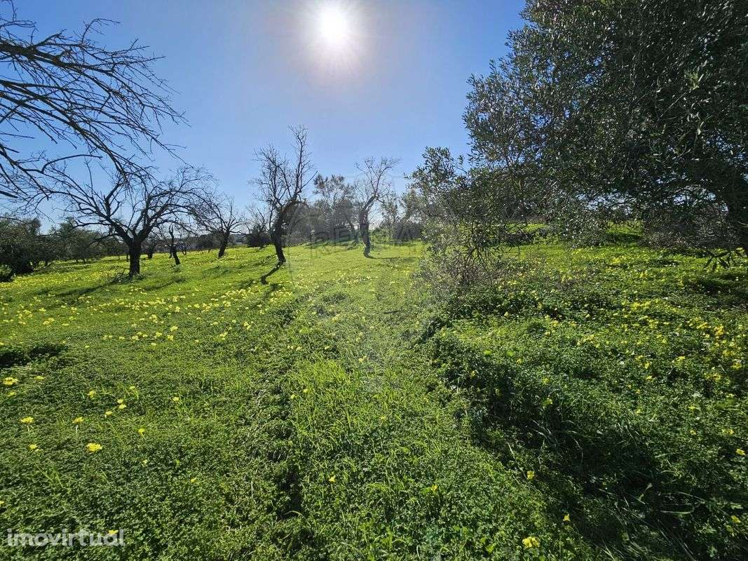 Terreno  para venda - Grande imagem: 3/3