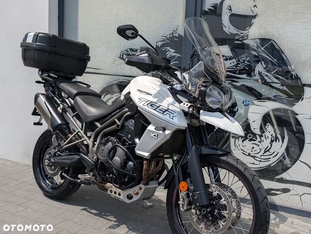 Triumph Tiger - 24