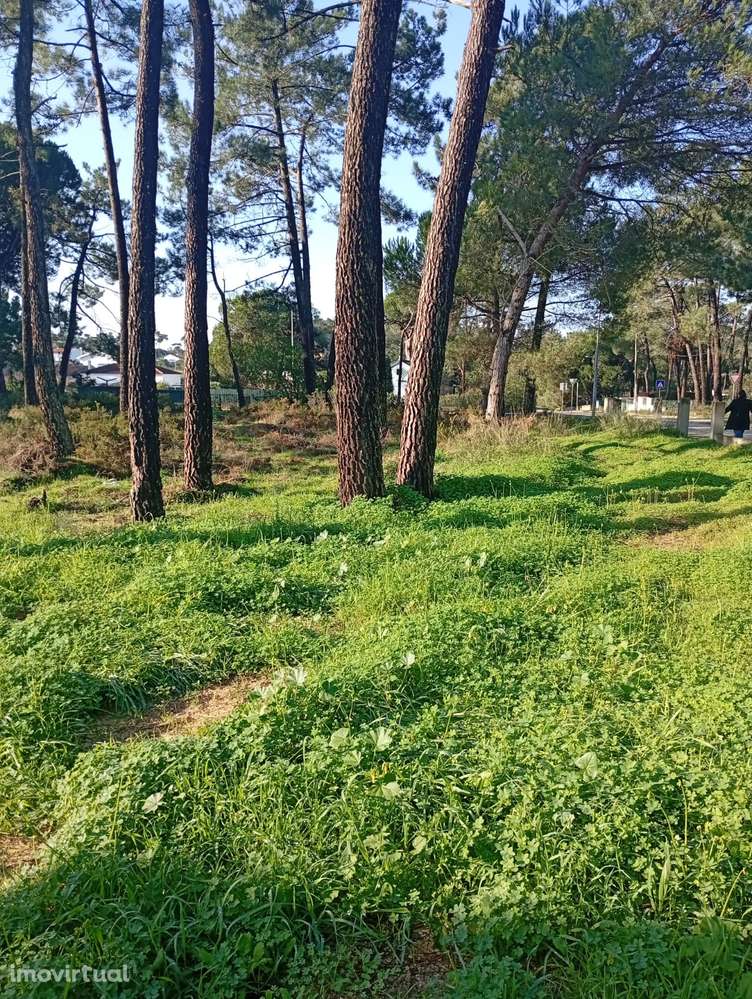 Terreno na Lagoa de Albufeira - Grande imagem: 2/5