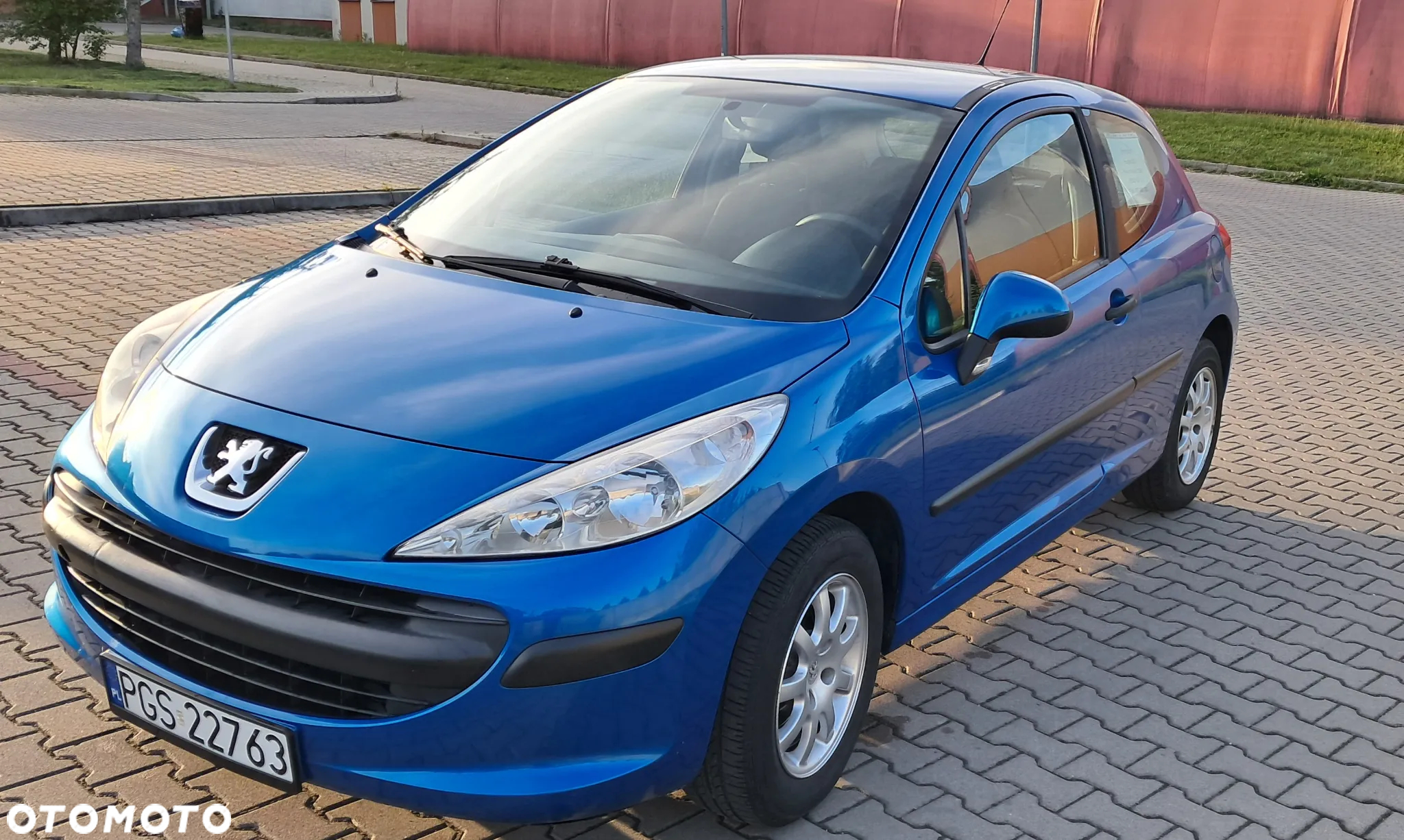Peugeot 207 - 9