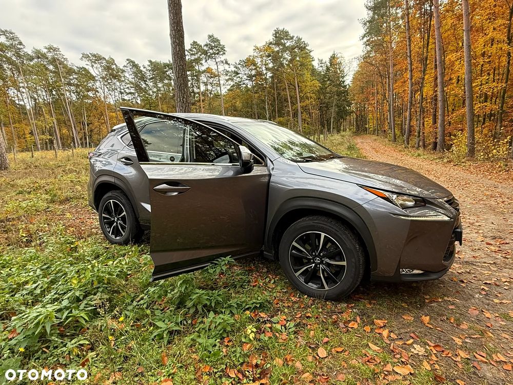 Lexus Nx 2017 photo 3
