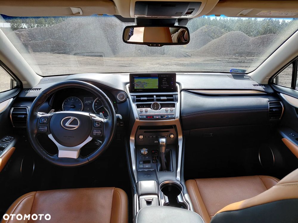 Lexus NX 300 Business Edition AWD - 12