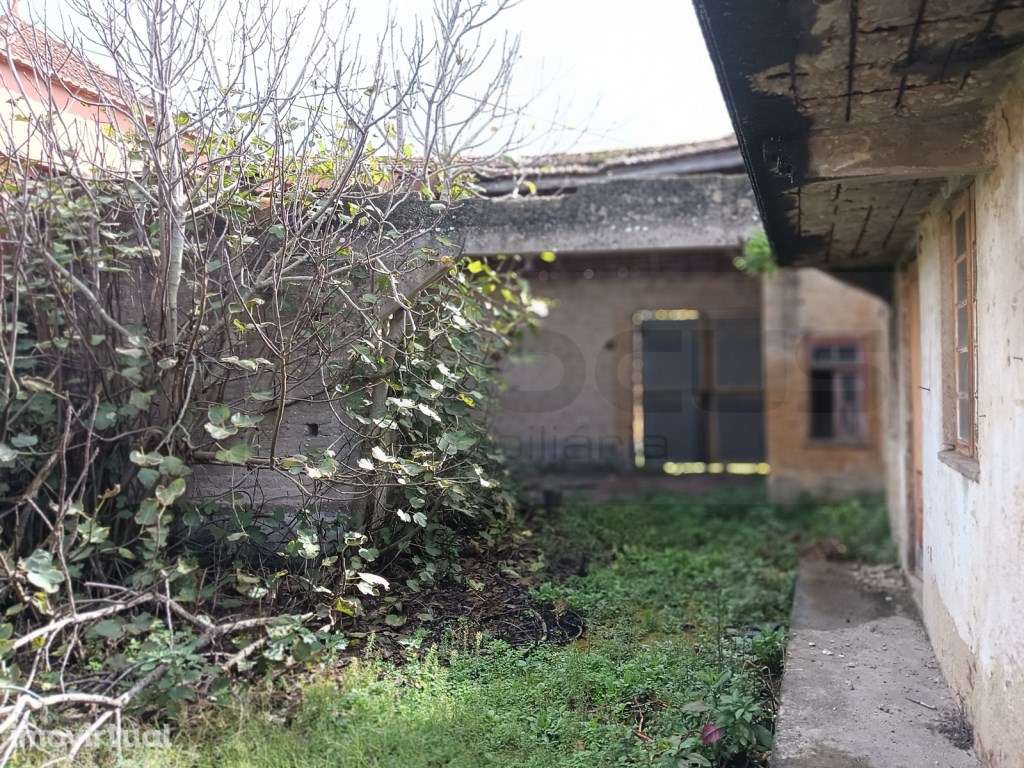 Moradia antiga Térrea estilo lavrador para restauro - Vagos / Ouca - Grande imagem: 3/24