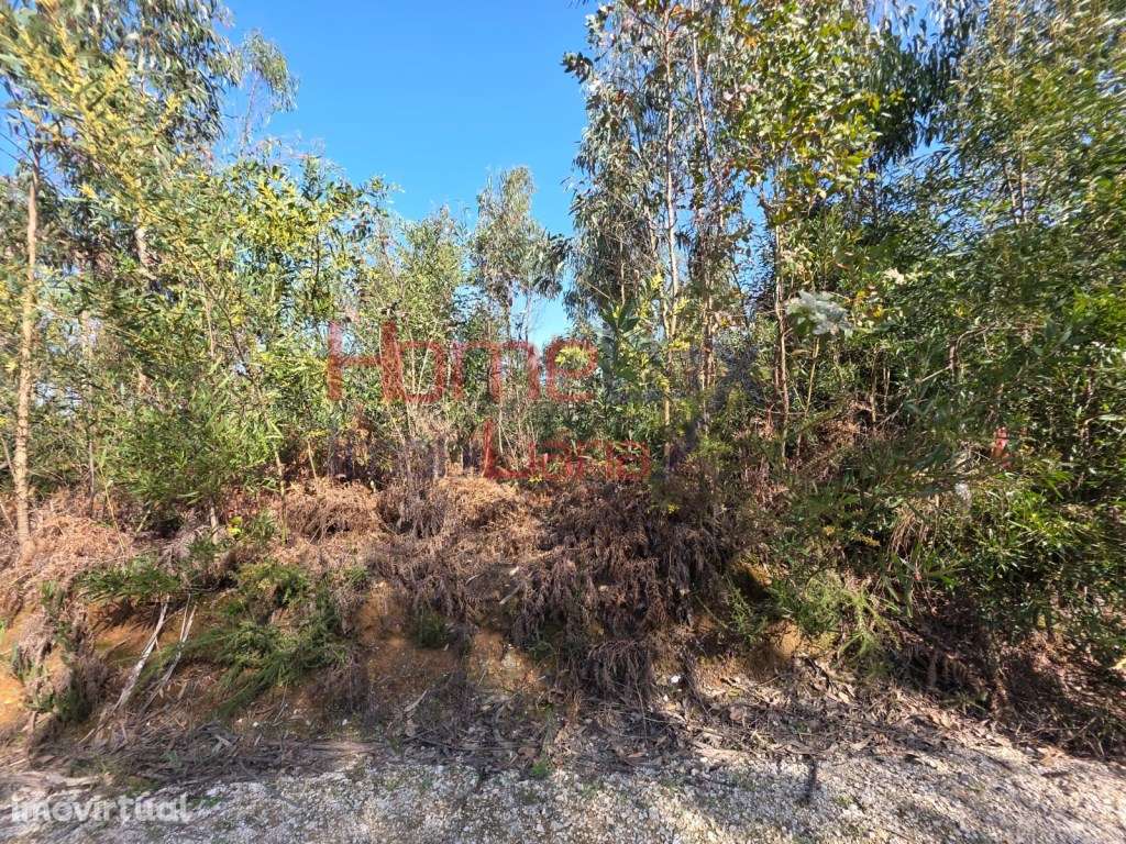 Terreno na zona industrial de Albergaria-a-Velha - Grande imagem: 4/16