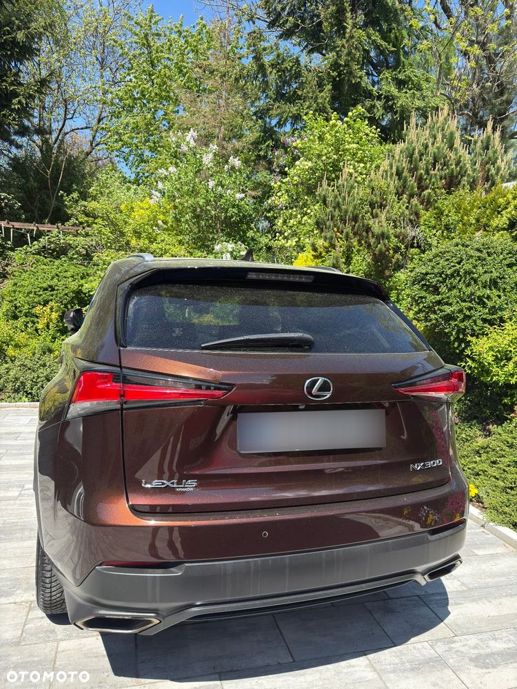 Lexus NX 300 Prestige AWD - 5