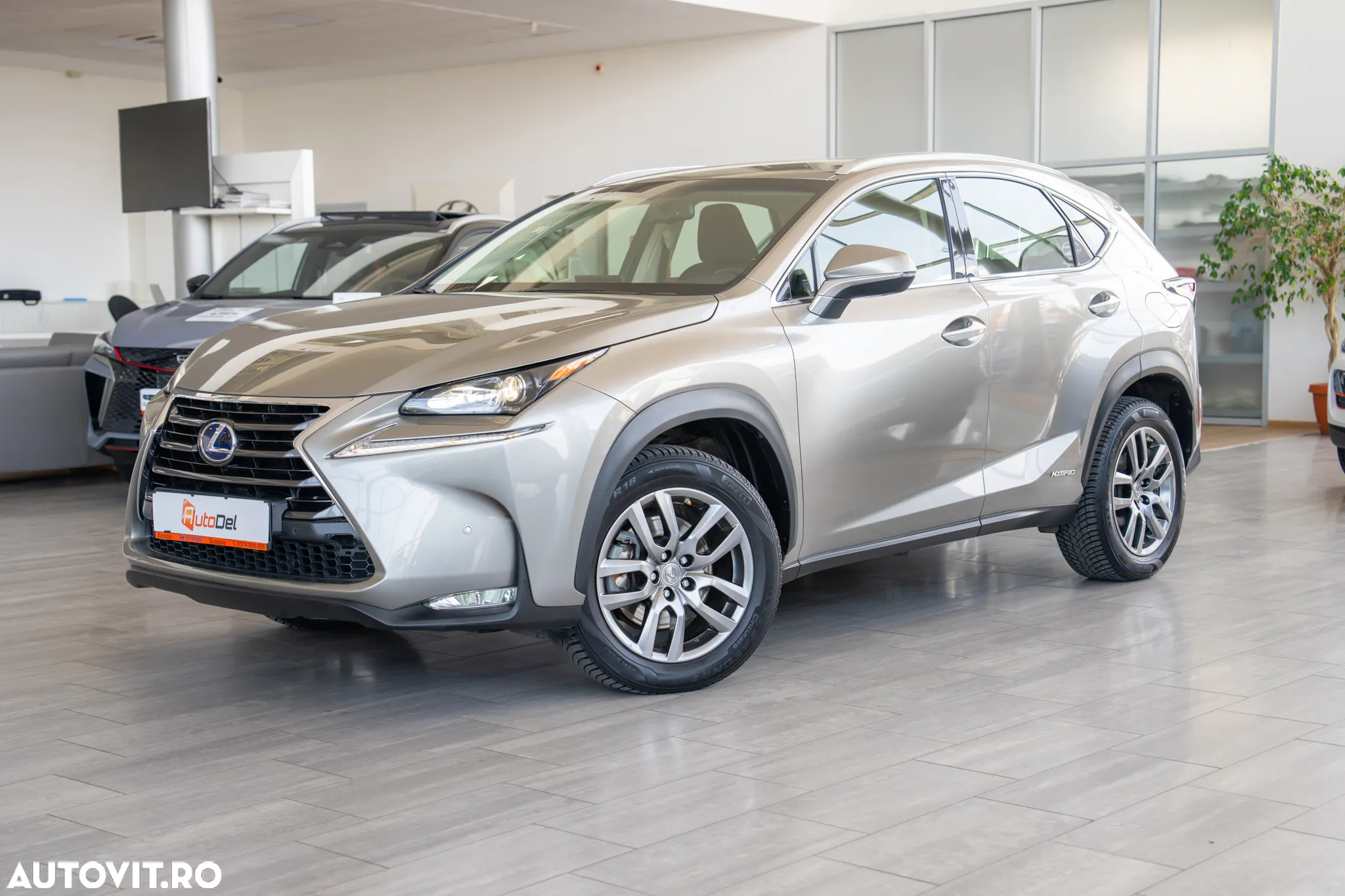 Lexus Seria NX 300h AWD Business - 2