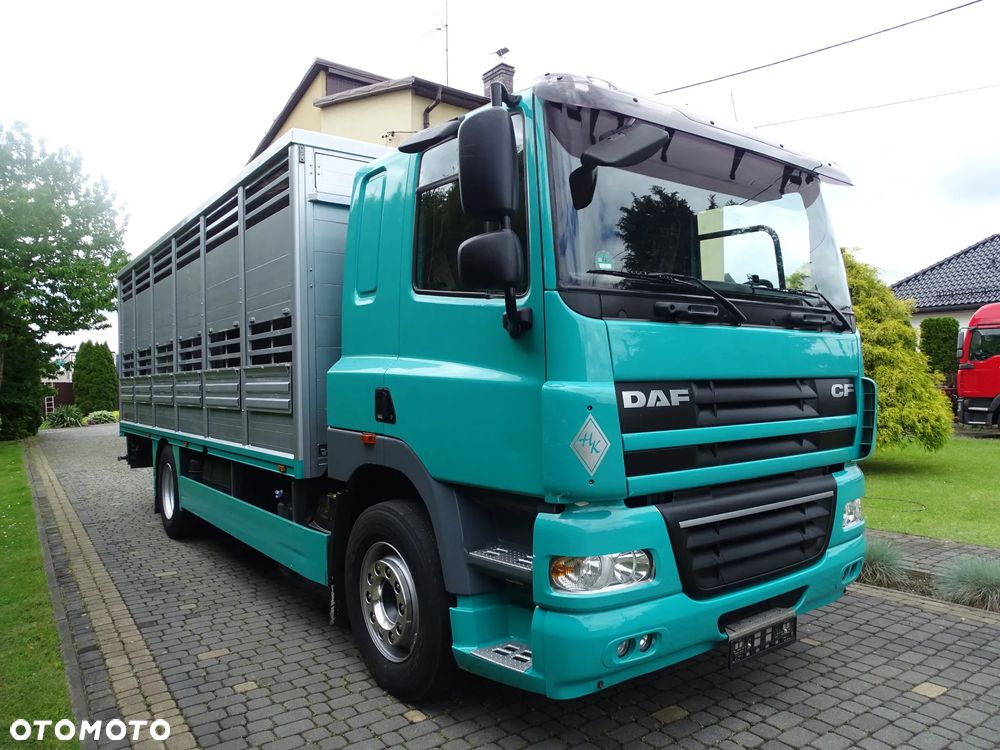 DAF CF 410 / DO ZWIERZĄT / ŻYWCA / BYDŁA / Z NIEMIEC / - 3
