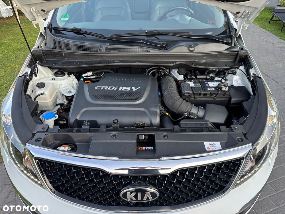 Kia Sportage - 19