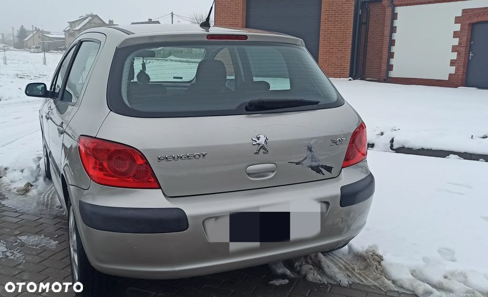 Peugeot 307 - 3