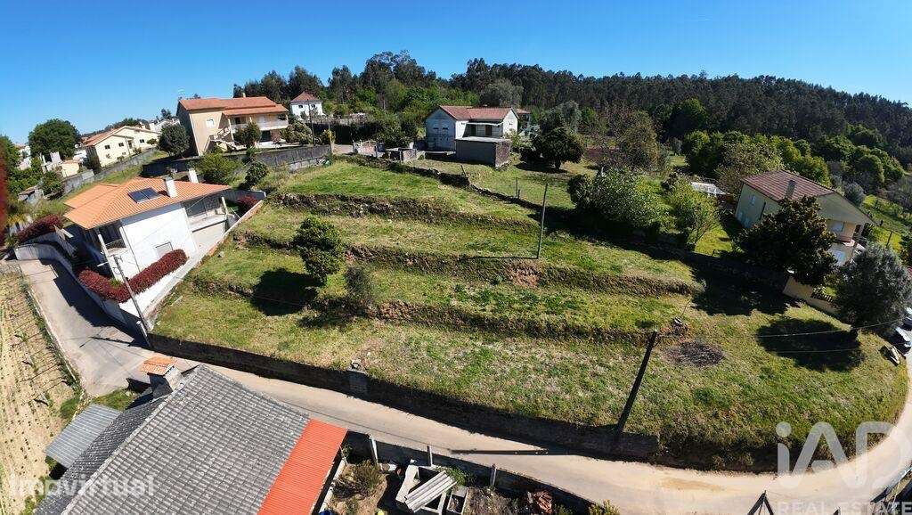 Terreno Agrícola em Rebordões (Santa Maria) - Grande imagem: 2/5