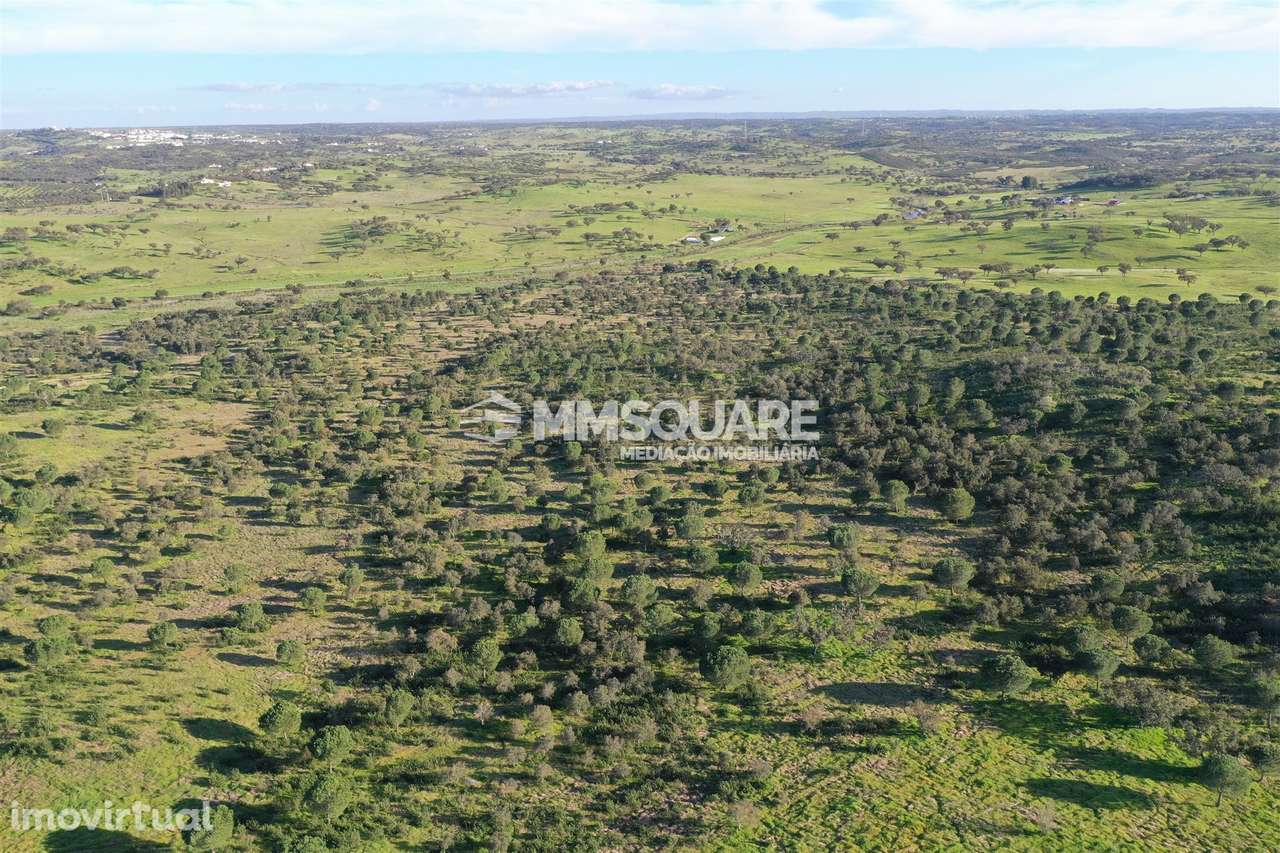 Herdade em Ourique - Grande imagem: 4/55