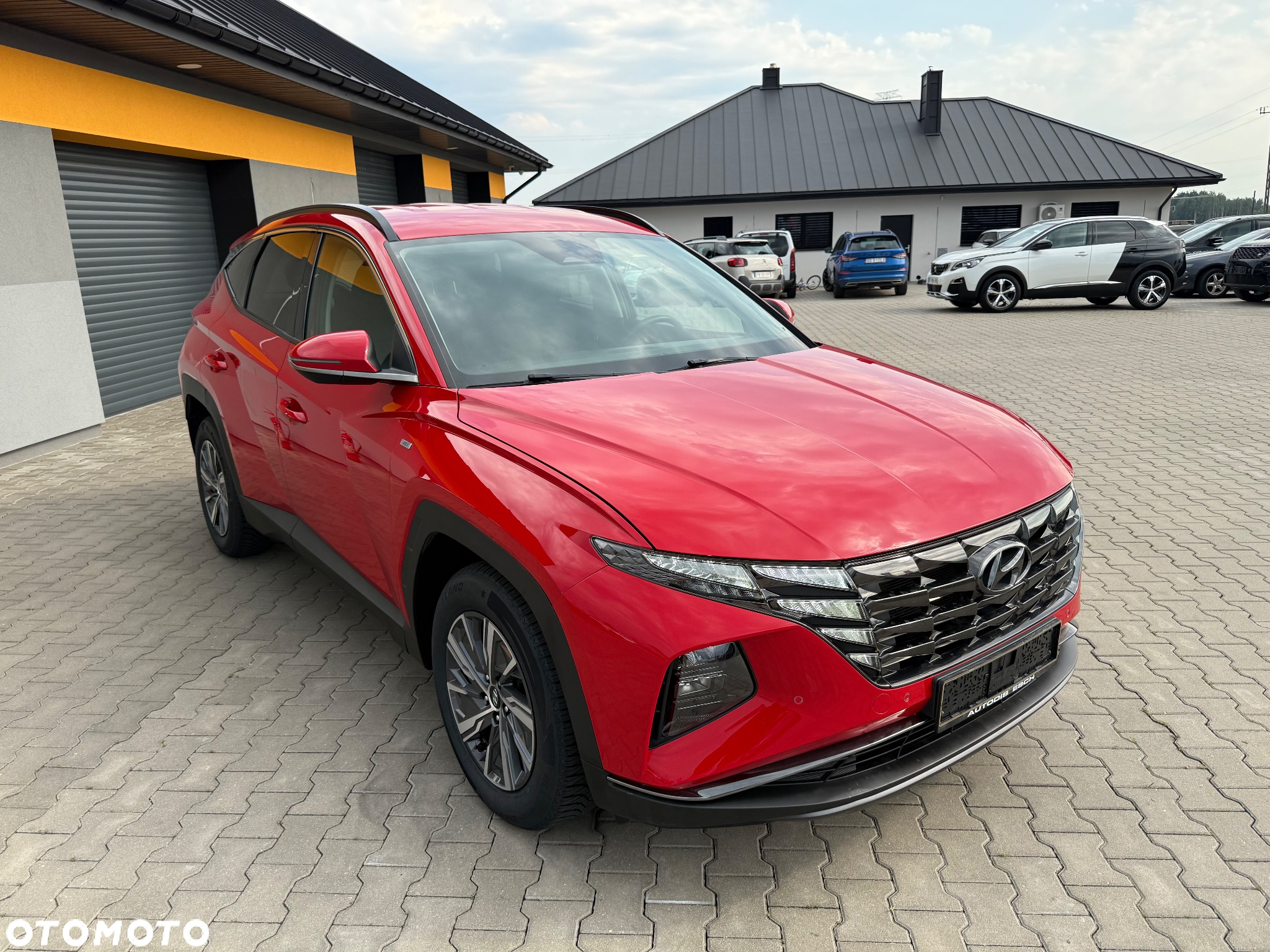 Hyundai Tucson 1.6 T-GDi 48V-Hybrid 2WD DCT Blackline - 12