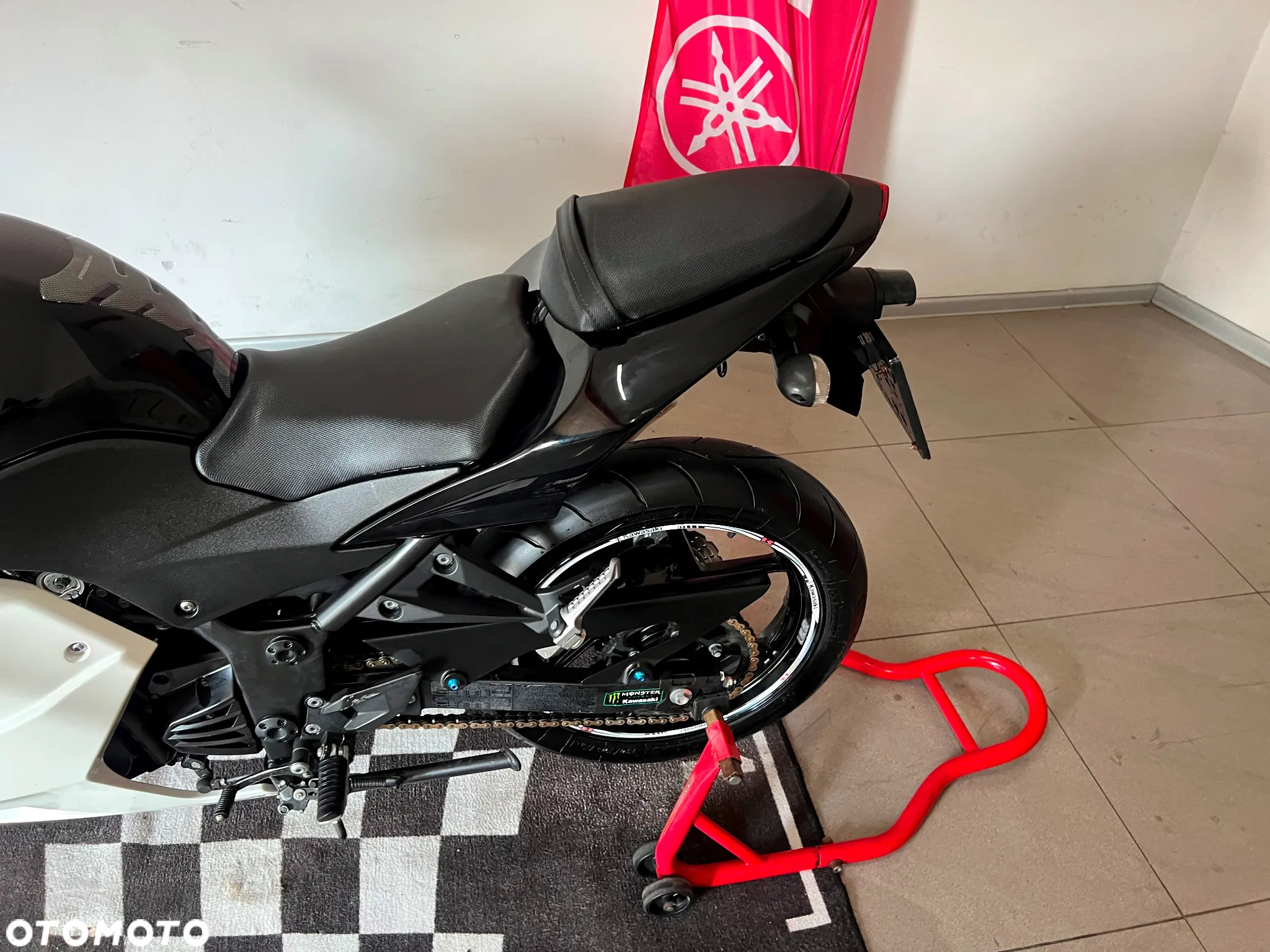 Kawasaki Ninja 250R - 18