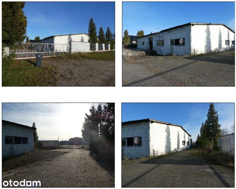 Hala/Magazyn, 3 033 m², Liniewo