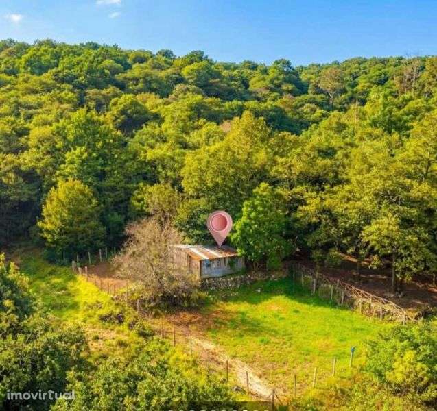 Terreno Rústico Seixal Chão da Ribeira - Grande imagem: 2/2
