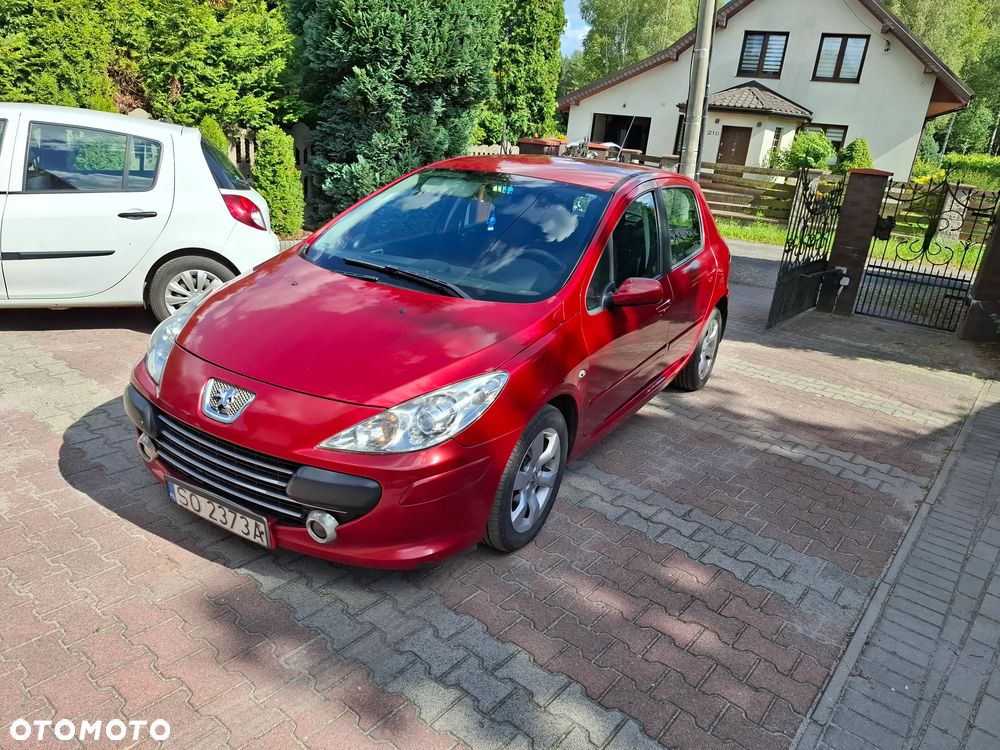Peugeot 307 1.6 HDI Oxygo - 4