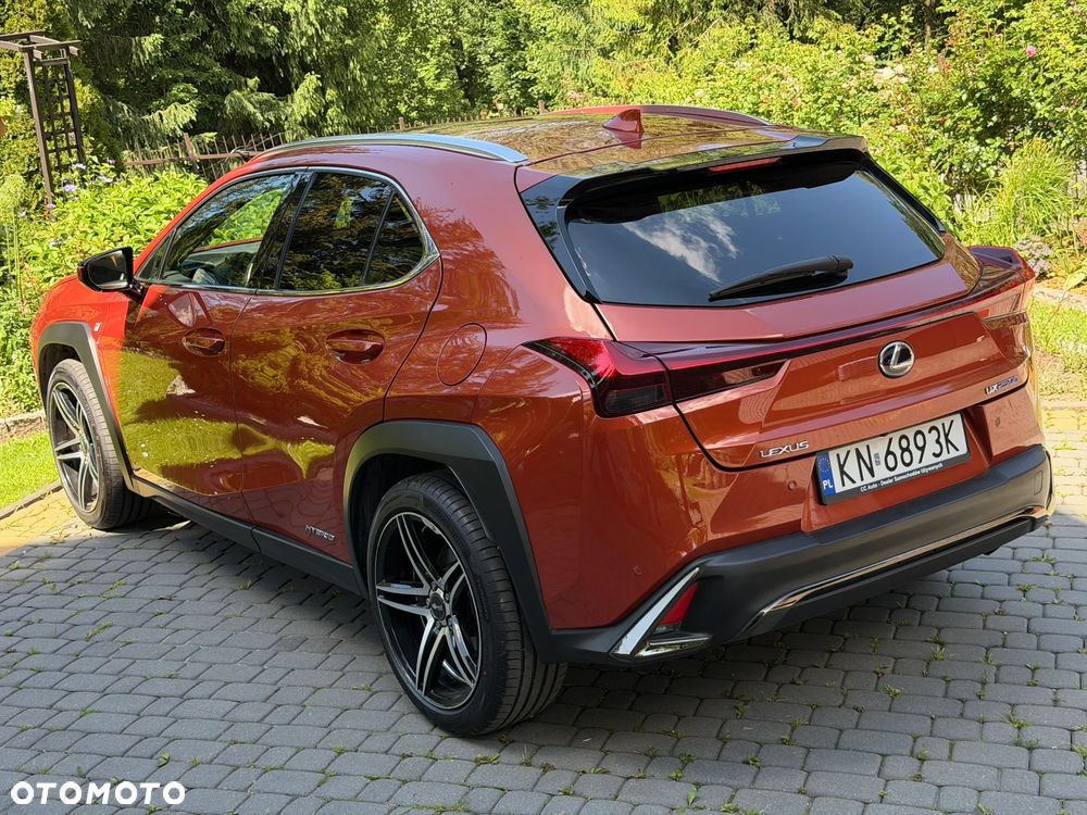 Lexus UX 250h GPF F Sport AWD - 20
