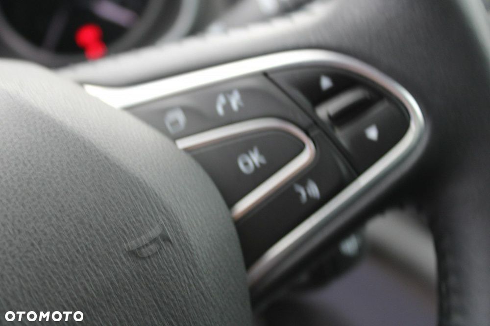 Renault Megane - 23