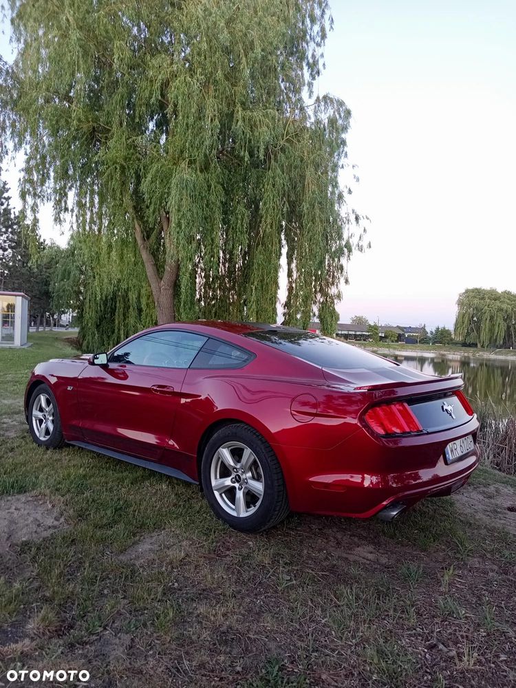 Ford Mustang 3.7 V6 - 12