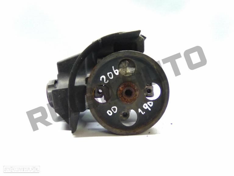 Bomba De Direcção Assistida  Peugeot 206 [1998_2012] 1.9 D - 1