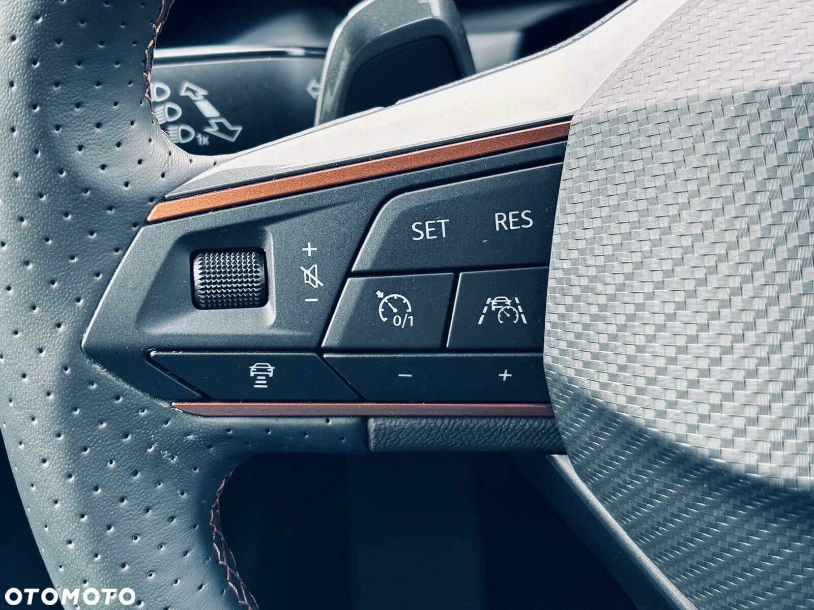 Cupra Formentor 2.0 TSI 4Drive DSG - 24