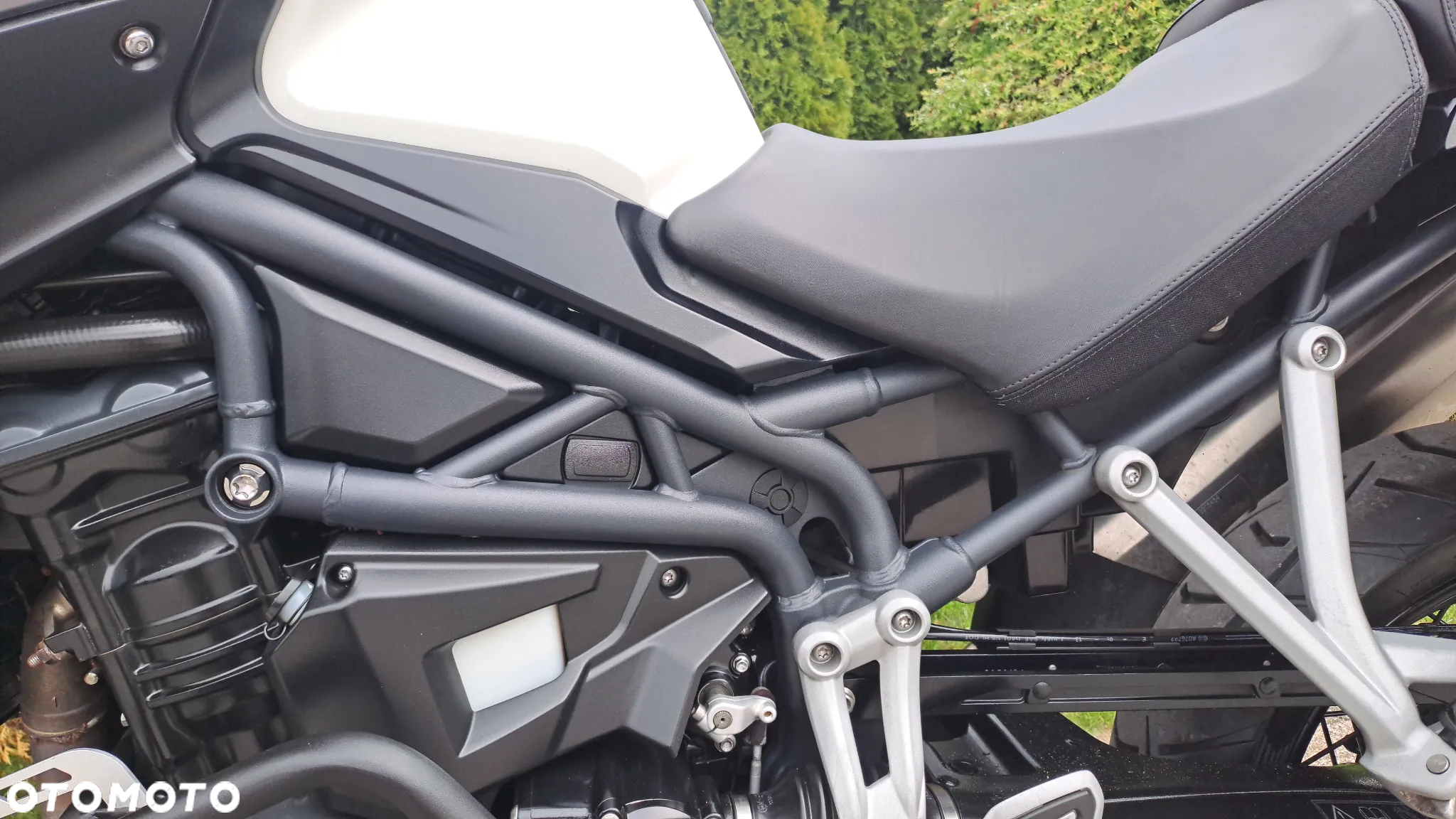 Triumph Tiger - 30