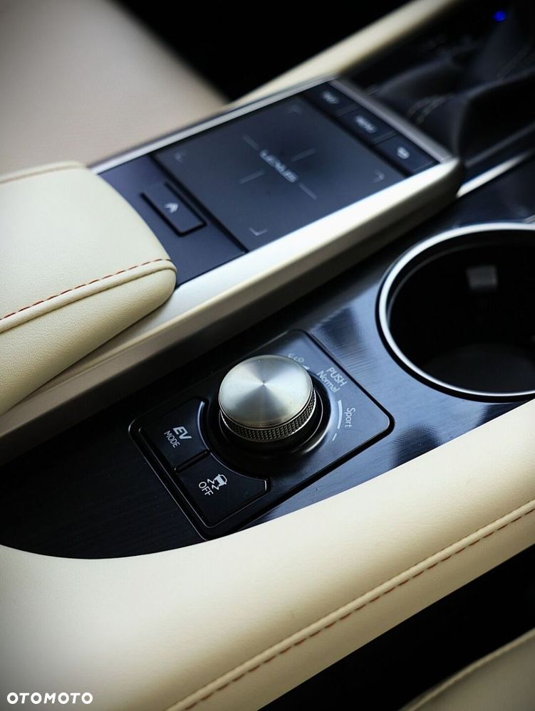 Lexus RX - 33