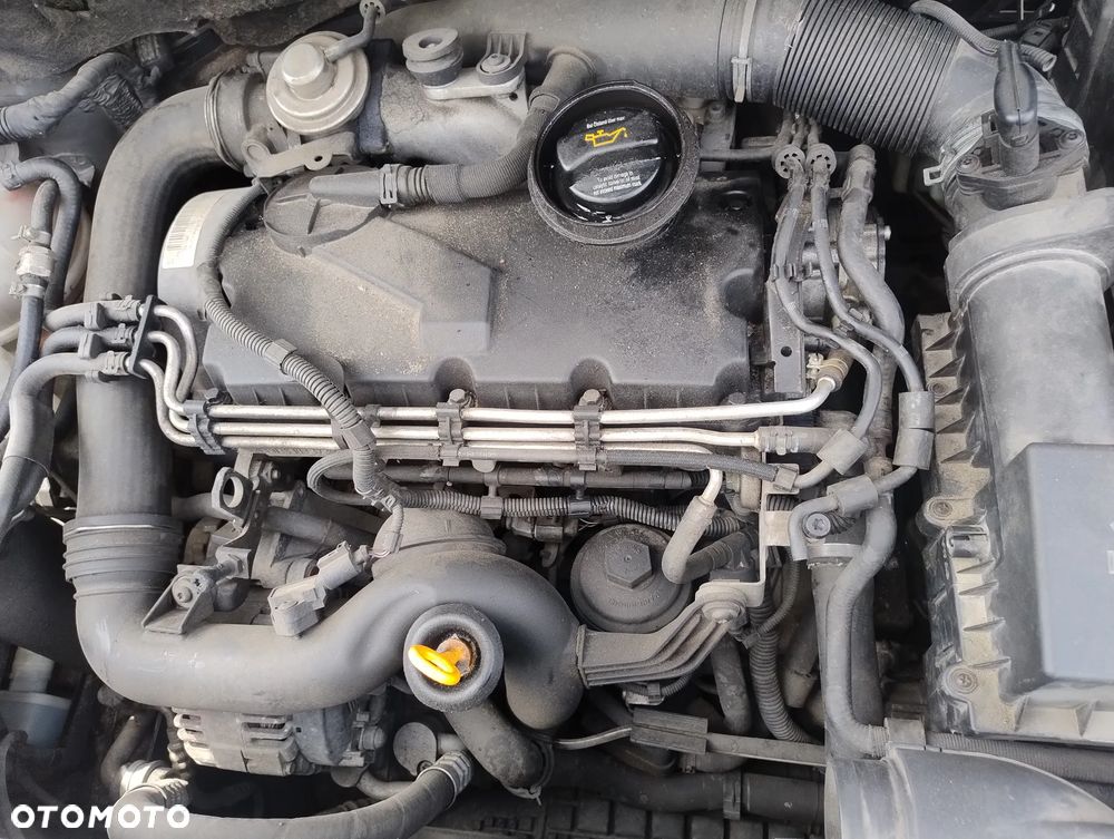 Volkswagen Golf Plus 1.9 TDI Trendline - 13