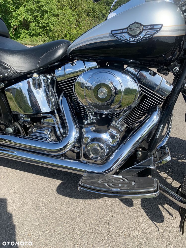 Harley-Davidson Softail - 9