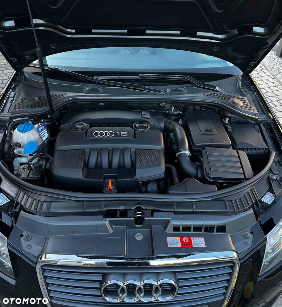 Audi A3 3-drzwiowe 1.6 Attraction - 6