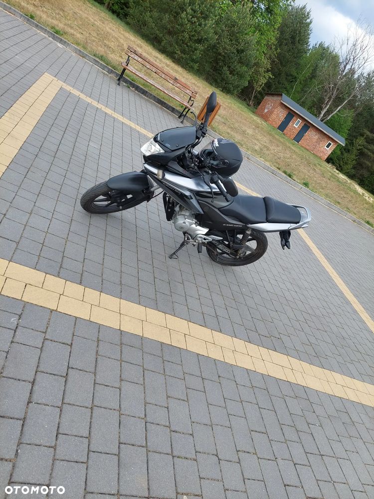 Honda CBF - 6