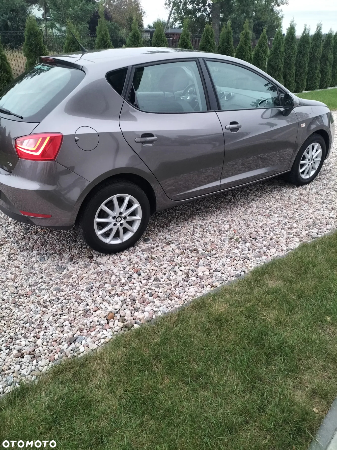 Seat Ibiza - 6