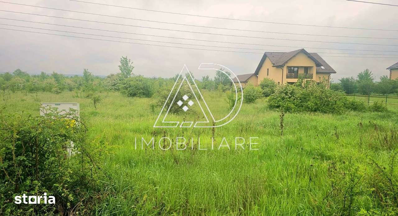 De Vânzare Teren 9.362 mp – Târgu Cărbunești - Imagine principală: 4/11