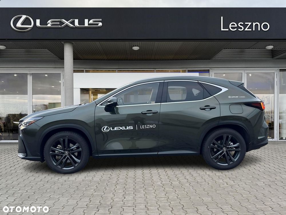 Lexus NX - 10