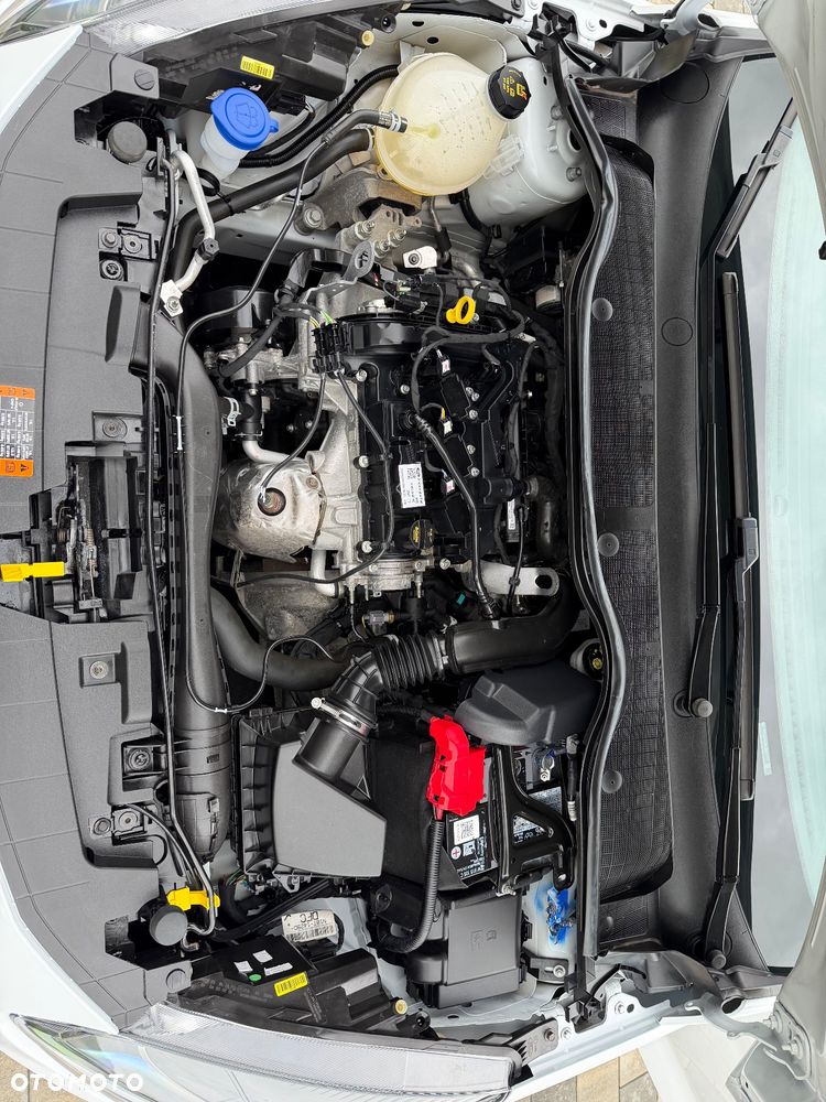 Ford Fiesta 1.1 S&S COOL&CONNECT - 21