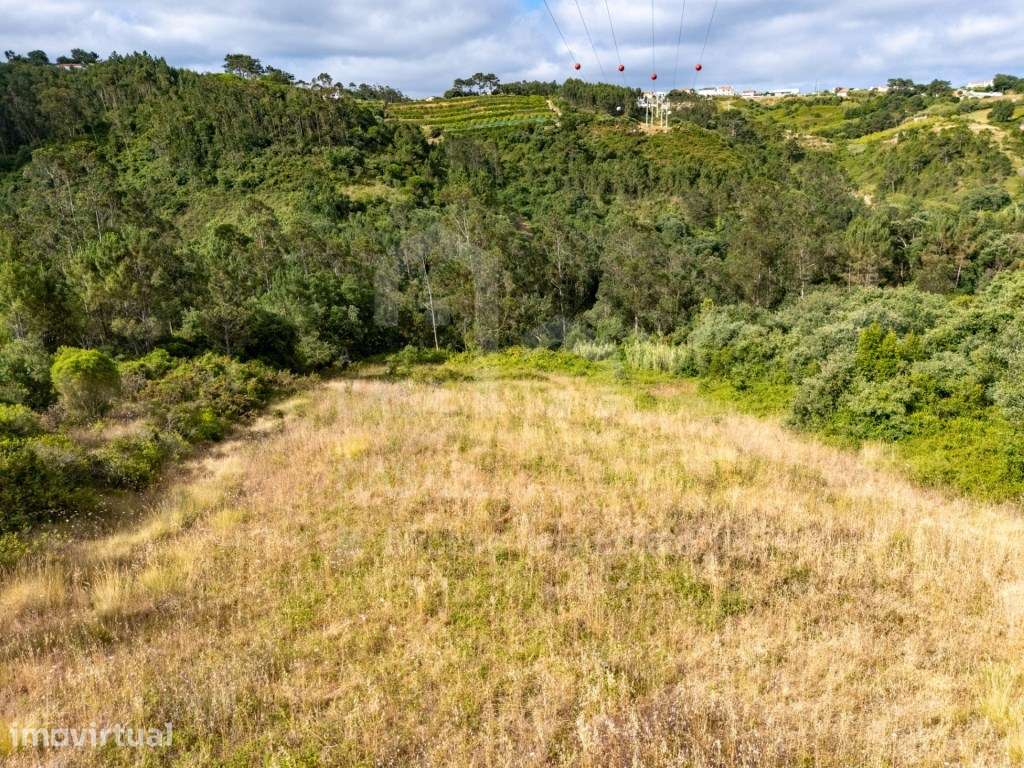 Vende Terreno - Ericeira 9 km, A Casa das Casas - Grande imagem: 2/17
