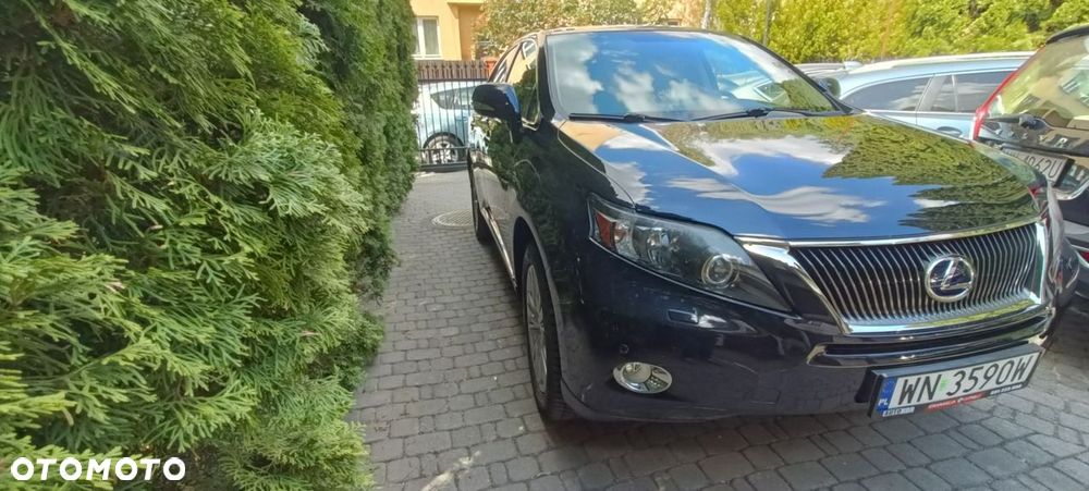 Lexus RX - 6