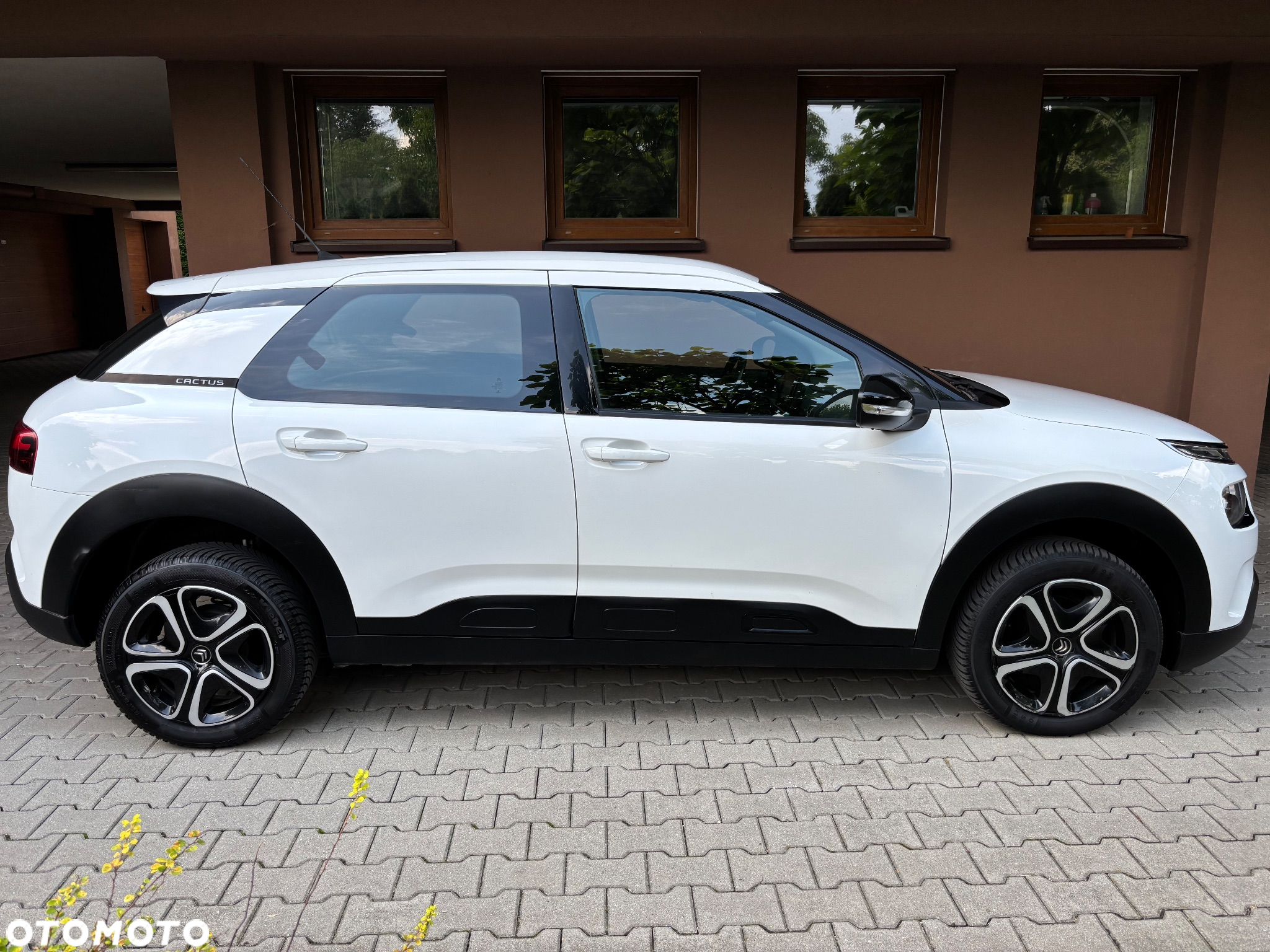 Citroën C4 Cactus 1.5 BlueHDi Live - 4
