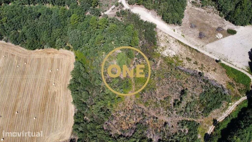 Terreno Rústico Oucidres - Chaves 14.920m2 - Grande imagem: 4/10