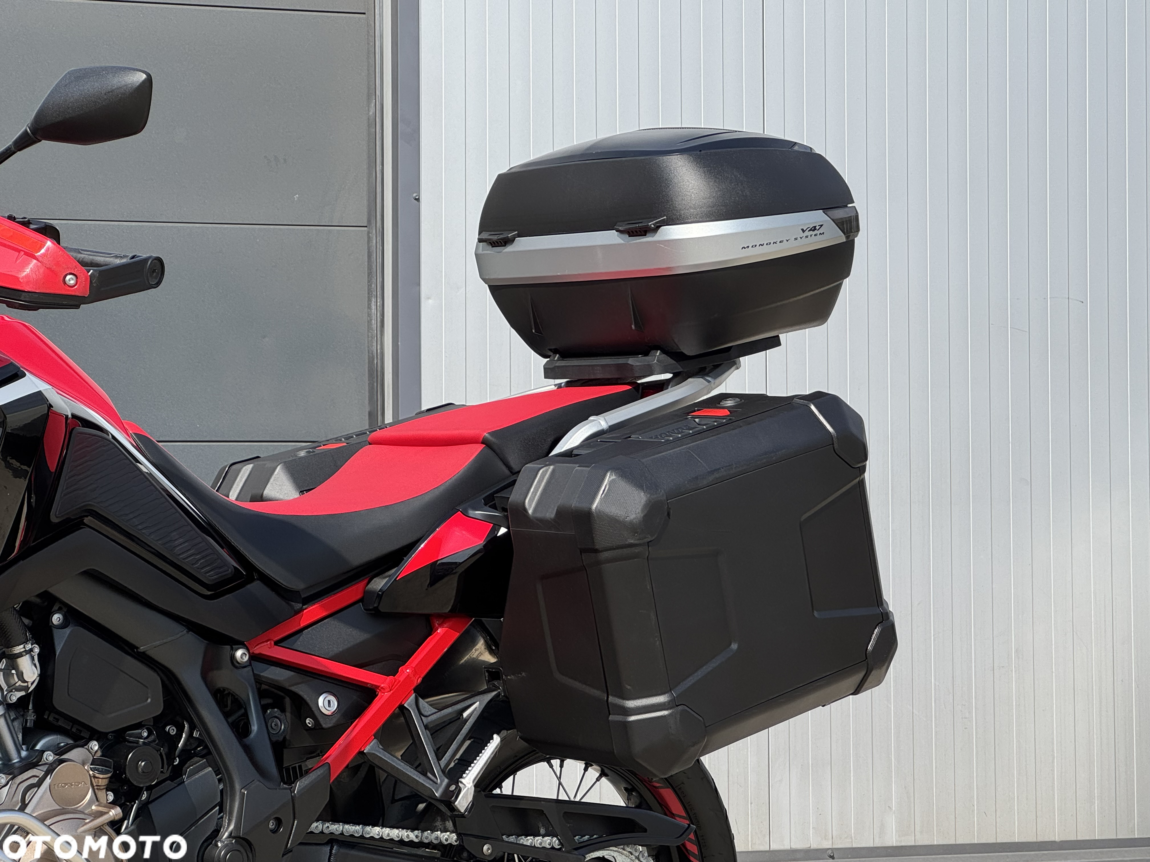 Honda CRF - 31