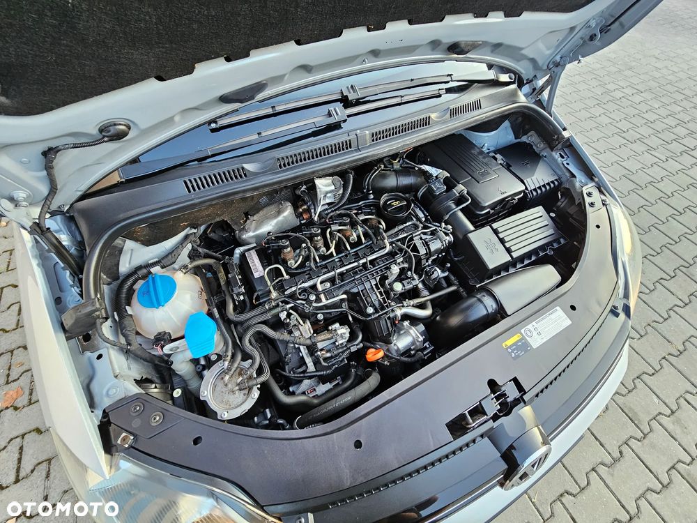 Volkswagen Golf Plus 1.6 TDI DPF BlueMotion Technology Team - 30