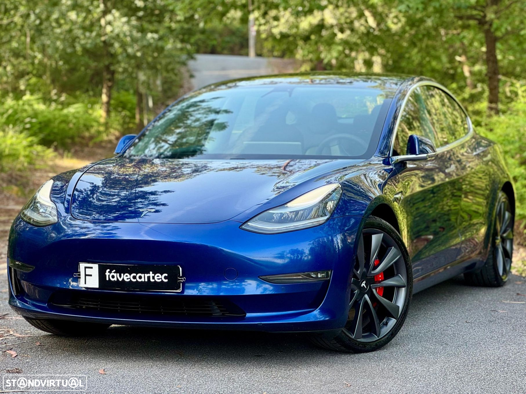 Tesla Model 3 Performance Dual Motor AWD - 3