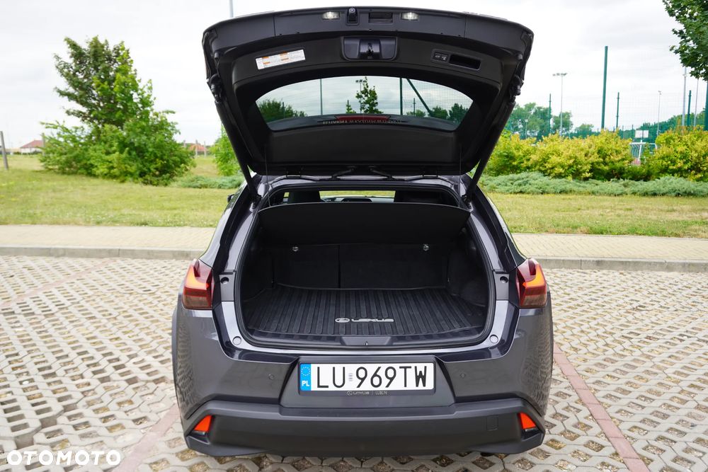 Lexus UX 250h GPF Business Edition 2WD - 16