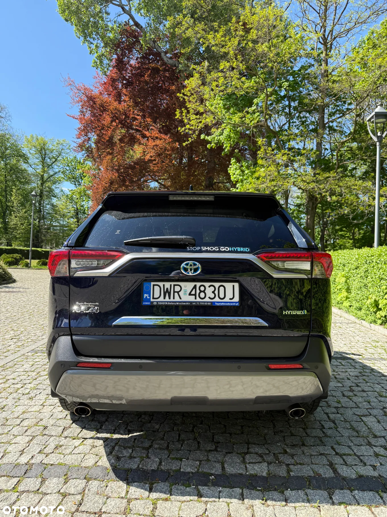 Toyota RAV4 2.5 Hybrid Executive 4x2 - 6