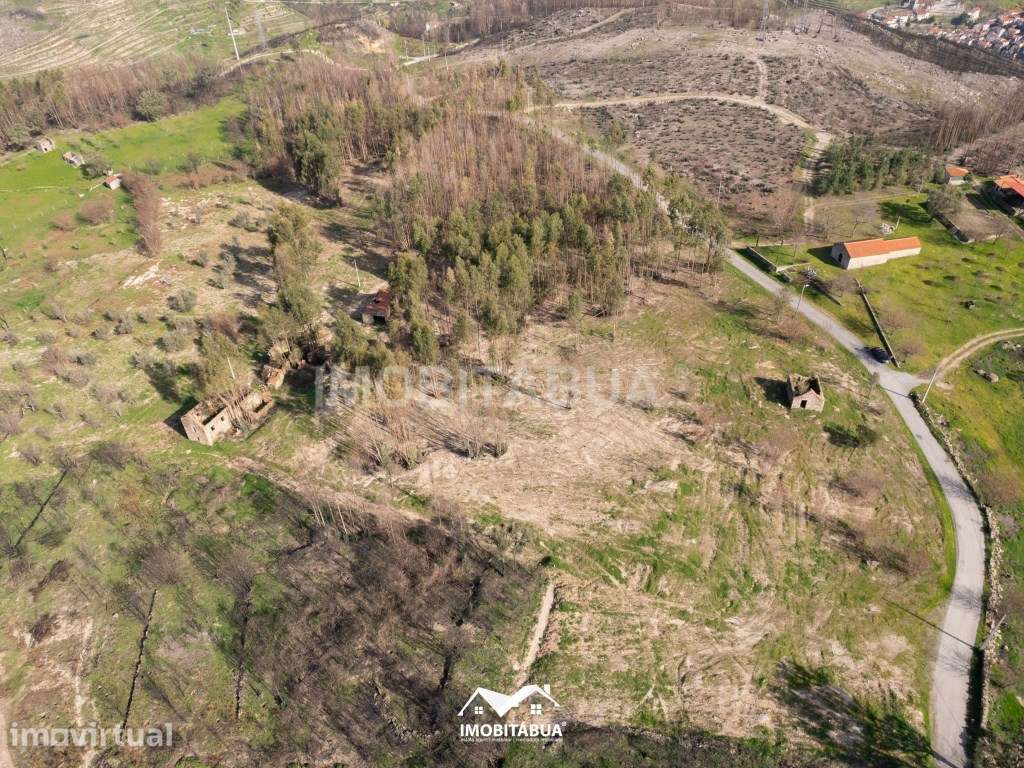 Terreno para construção ou investimento em turismo rural ou Glamping - Grande imagem: 5/18