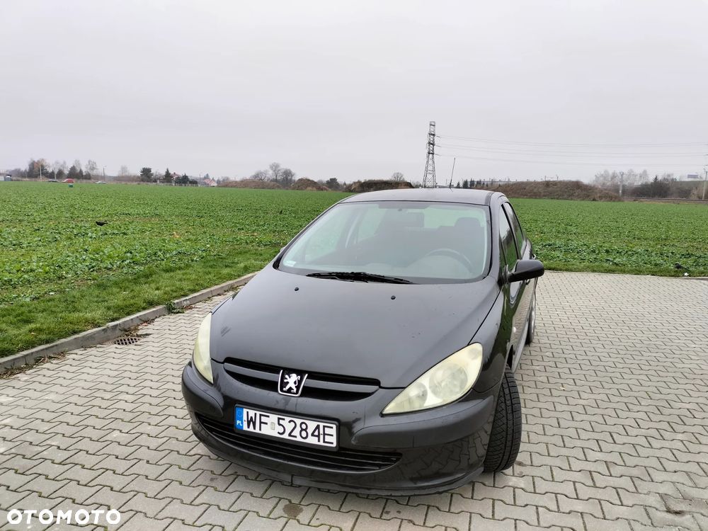 Peugeot 307 1.6 XS - 9